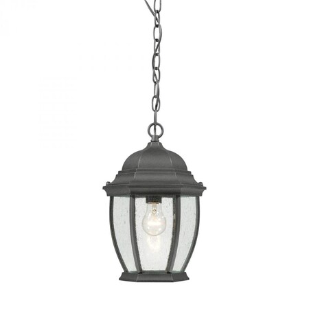 Thomas Covington 1-Light Pendant Lantern in Black SL92337